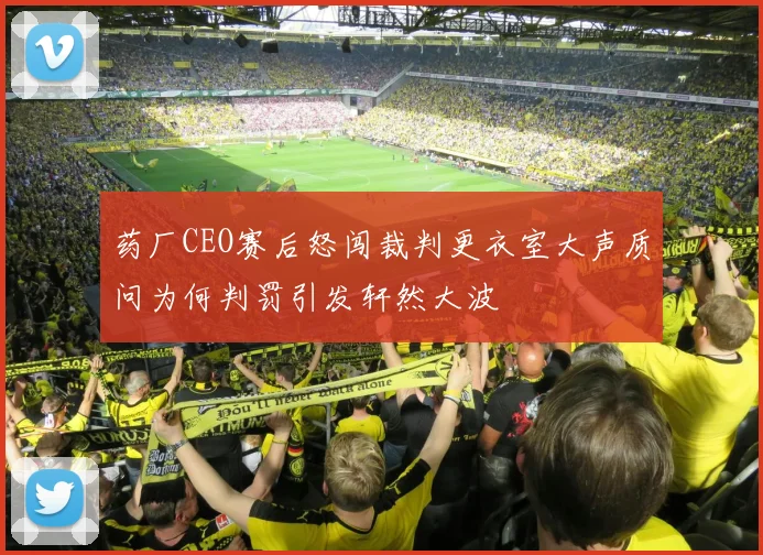药厂CEO赛后怒闯裁判更衣室大声质问为何判罚引发轩然大波