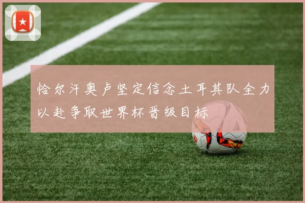 恰尔汗奥卢坚定信念土耳其队全力以赴争取世界杯晋级目标
