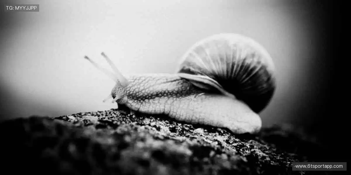 🎁 装备你的热爱，从这里开始！👟